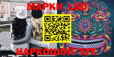 шишки Шахты