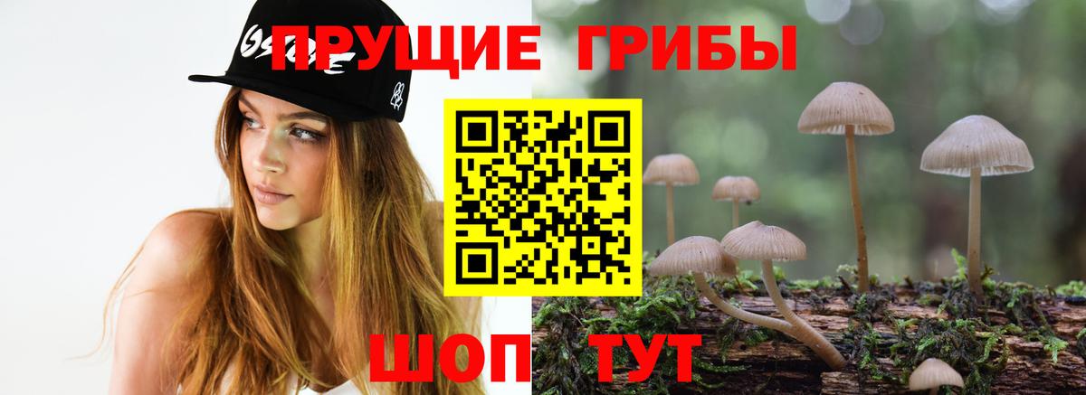 Галлюциногенные грибы мицелий Будённовск